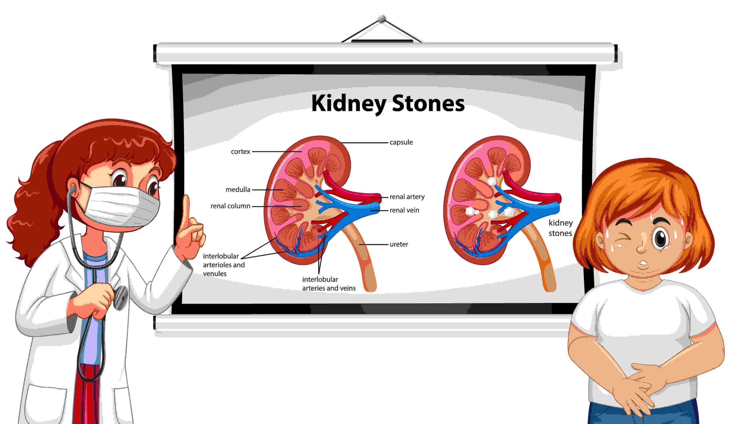 Remedy for kidney disease