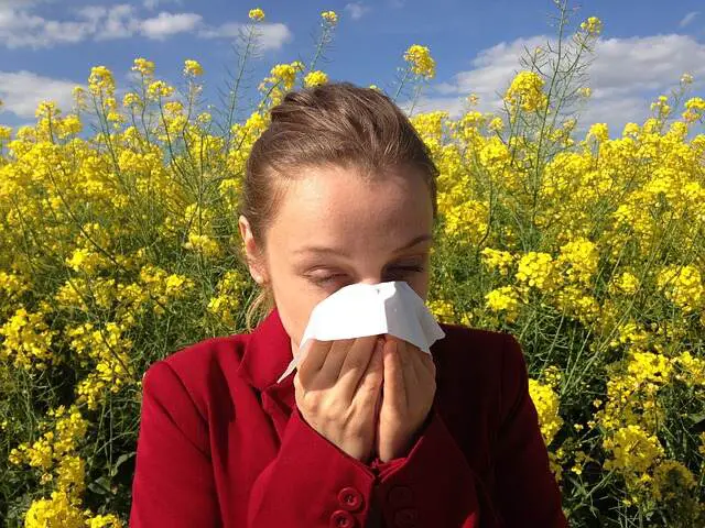 Home remedies to get rid of allergies in winter