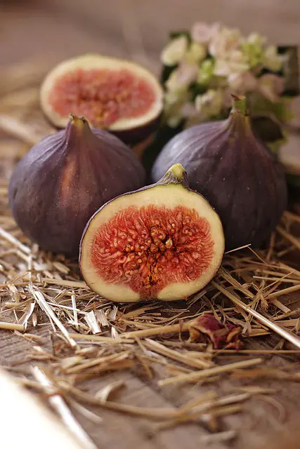 Benefits of figs