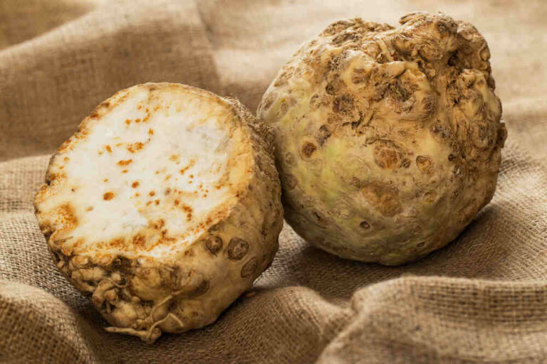 Maca-Root