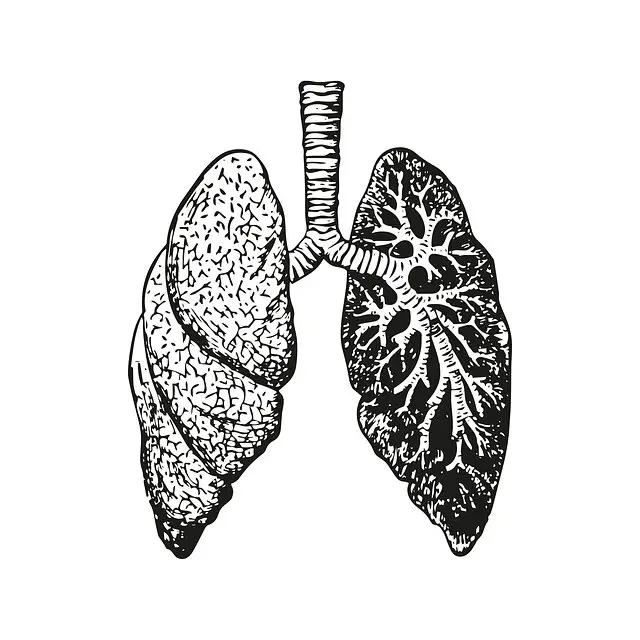 Treatment of fatty liver grade 2