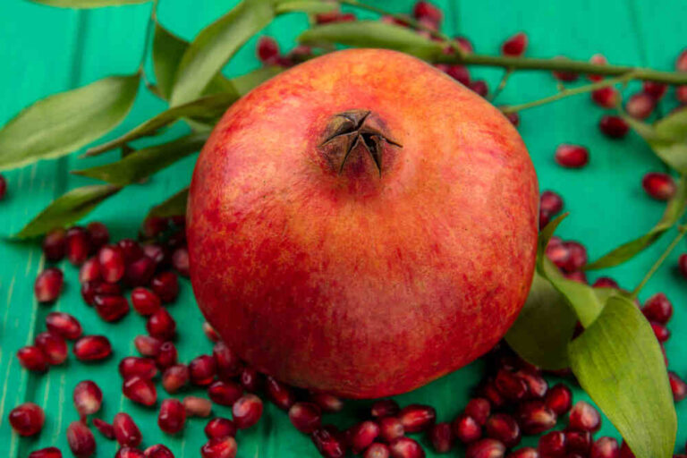 Anna-Fruit
