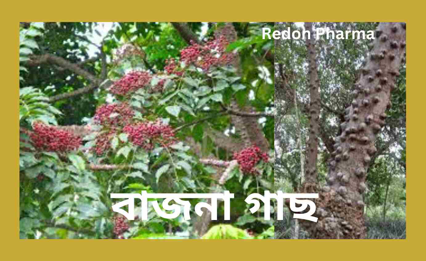 Bajna-tree
