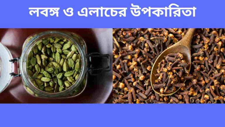 লবঙ্গ-ও-এলাচের-উপকারিতা
