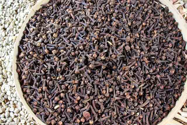 লবঙ্গ-খাওয়ার-উপকারিতা
