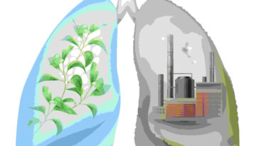 How-to-keep-the-lungs-healthy