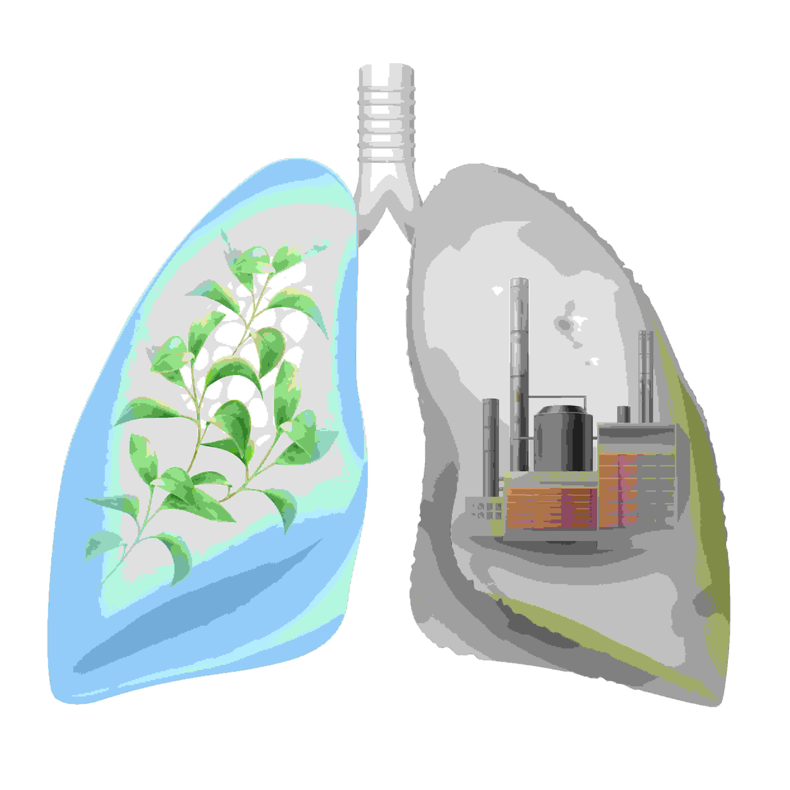 How-to-keep-the-lungs-healthy