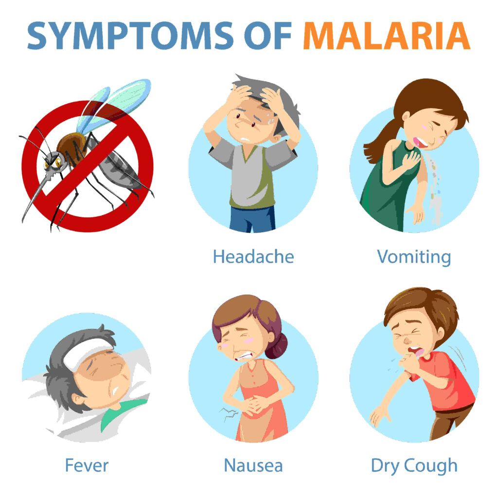 How-long-does-dengue-fever-last