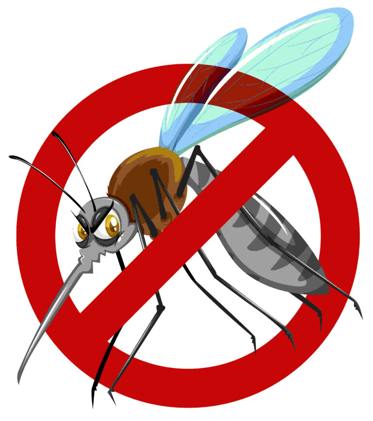How-long-does-dengue-fever-last
