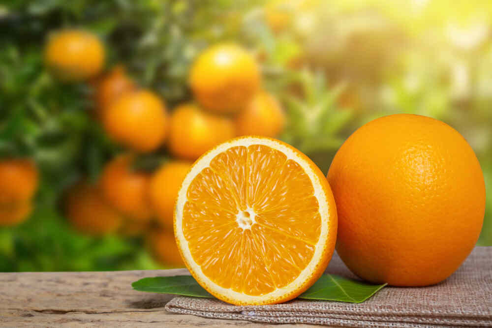 What to-eat-if-you-have-dengue-fever
