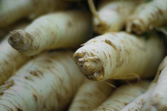 Side-effects-of-shimul-root